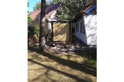 Ferienhaus Pinguin