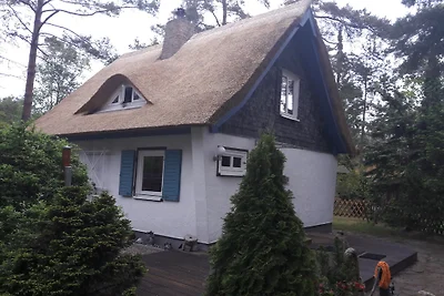 Ferienhaus Pinguin