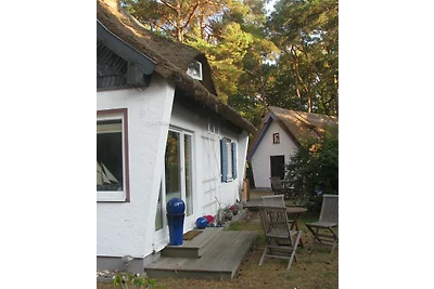 Ferienhaus Pinguin