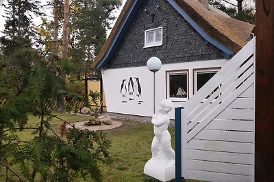 Ferienhaus Pinguin