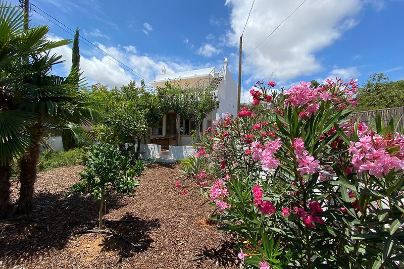 Casa Flor do Mar mit neu angelegtem Garten.