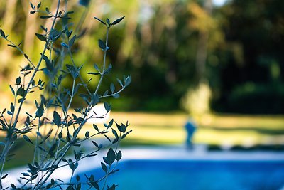 Villa Stepančić mit beheiztem Pool