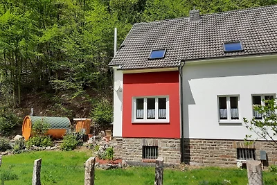 Ferienhaus Eisvogel  im Rosbachtal