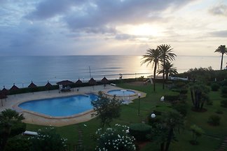 Pura vida Denia
