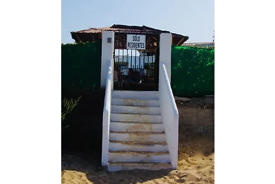 Pura vida Denia