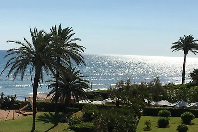 Pura vida Denia