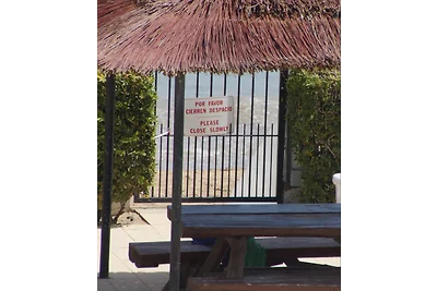 Pura vida Denia