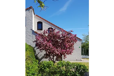 Krim - Ferienperle