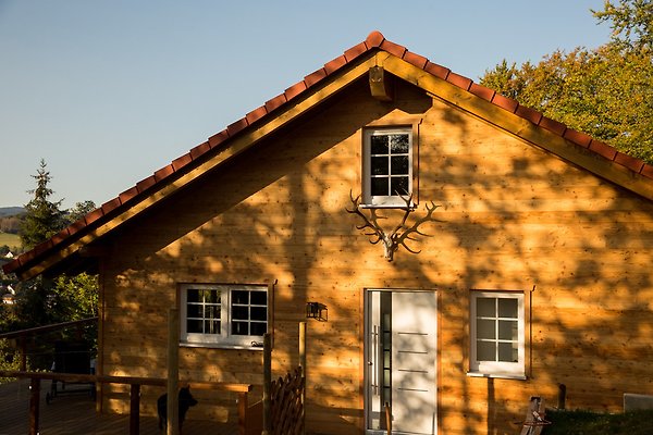 Ferienhaus Heringhausen