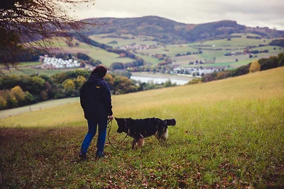 Traumferienhaus Hirschblick