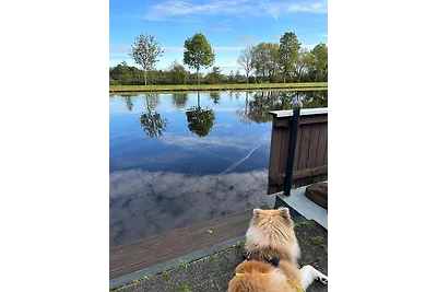 Ferienhaus direkt am Wasser