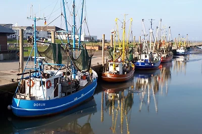 Argine e mare