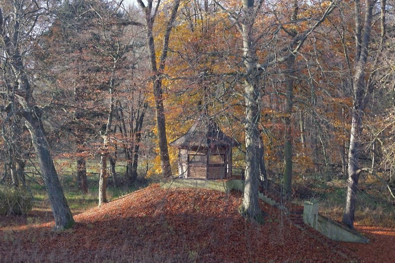 Teehaus mit Herbstlaub