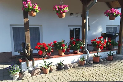 Nel paese 1