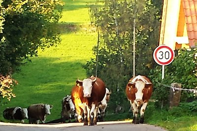 Urlaub auf dem Bauernhof