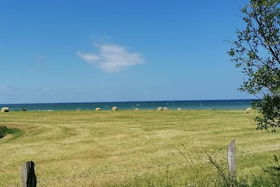 Hof am Meer "Seefalke"