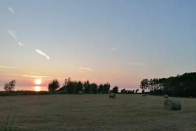 Vakantieappartement Gezinsvakantie Rerik