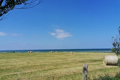 Vakantieappartement Gezinsvakantie Rerik