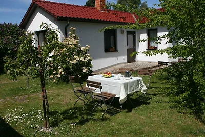 Vakantiehuis Ontspannende vakantie Rerik & Umland