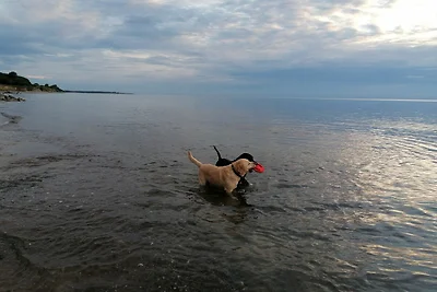 Hof am Meer "Seefalke"