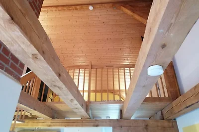 Hof am Meer "Seemöwe"