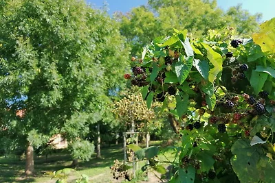 Appartamento Vacanza con famiglia Rerik