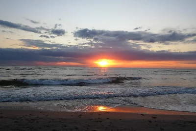 Hof am Meer "Seefalke"
