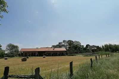 Vakantieappartement Gezinsvakantie Rerik