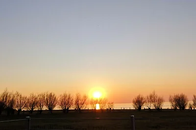 Hof am Meer "Seefalke"