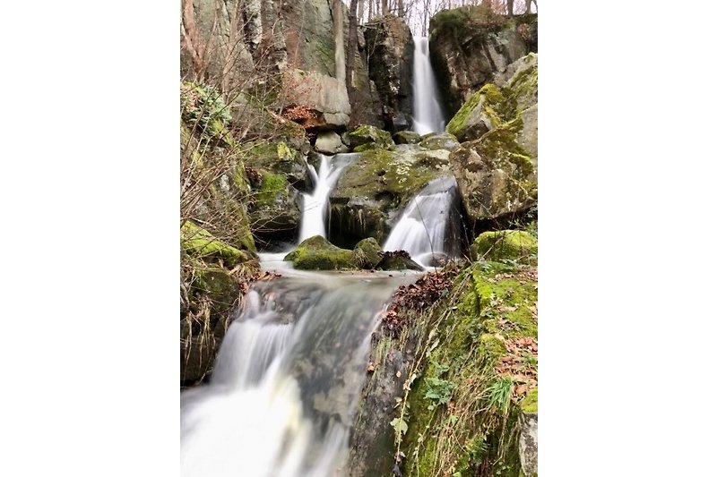 Langenhennersdorfer Wasserfall in wilder Natur