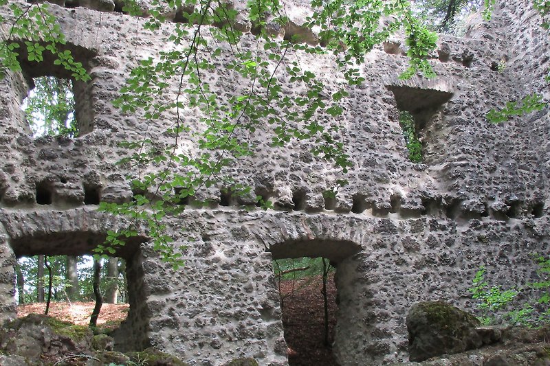 Burg Freudenkoppe