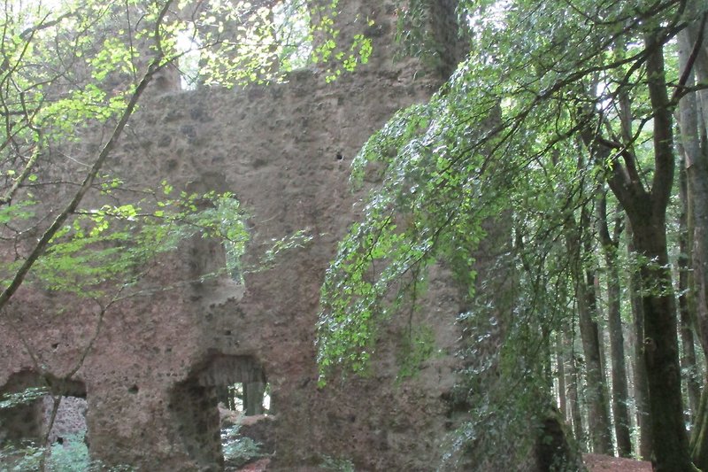 Burg Freudenkoppe -1