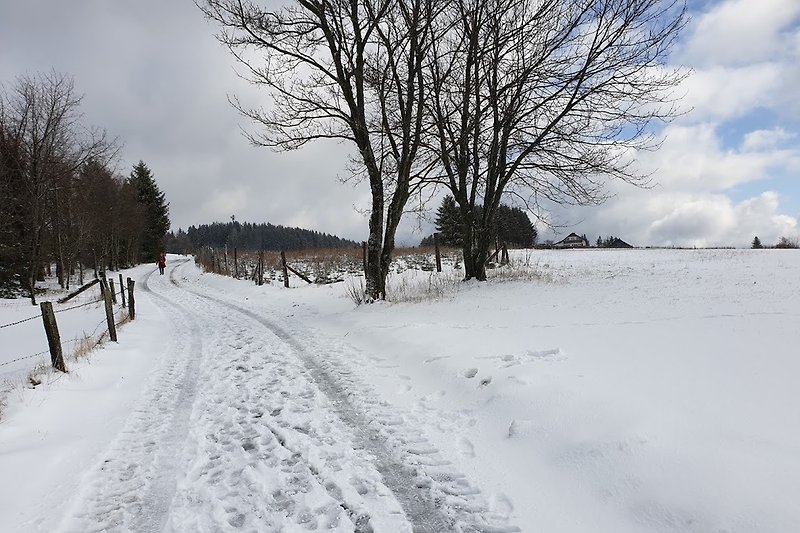 Wandern in Winterberg - Winter.