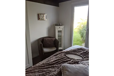 Morska zvijezda Baltičko more