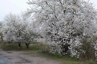 APPARTAMENTO PER VACANZE SUL LAGO