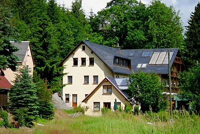 Ferienhaus Pöhlablick Nr. 2