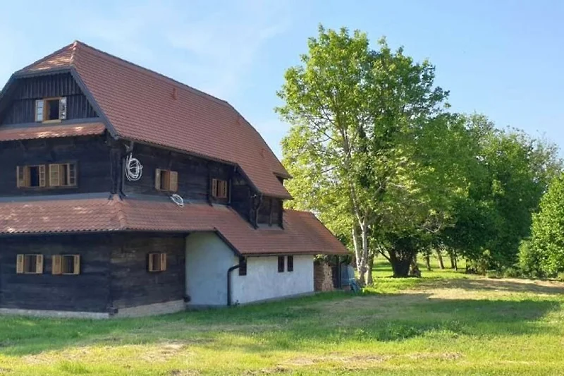 Esterni