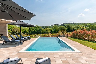 Beautiful Villa Perlin with pool in Visnjan