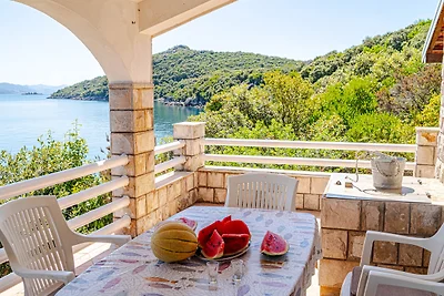 House Ante Osobjava by Villas Guide