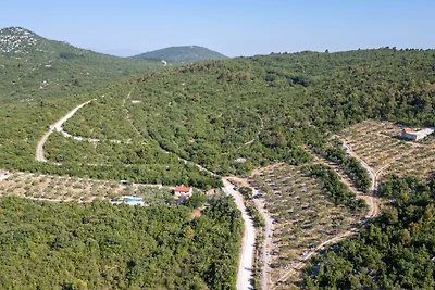 Country house Maslina by Villas Guide