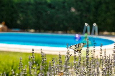 Villa Nonni by Villas Guide