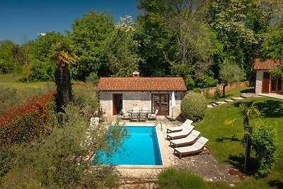 Rustic Villa Cehici with pool in Sveti Lovrec