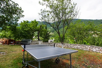 House Mirjana with pool by Villas Guide