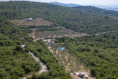 Country house Maslina by Villas Guide