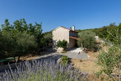 Country house Maslina by Villas Guide