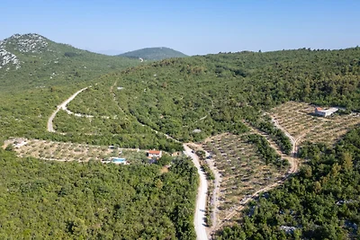 Country house Maslina by Villas Guide