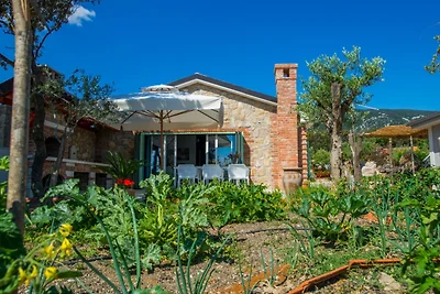 Villa Rosellina by Villas Guide