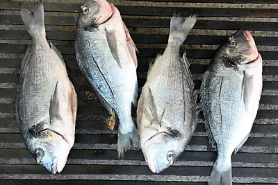 Villa Buby by Villas Guide