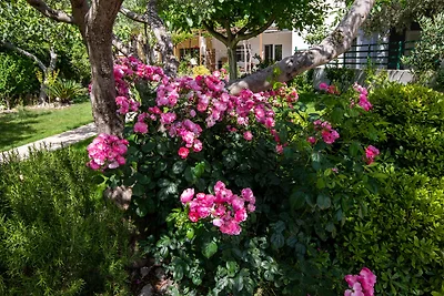 Apartman Dubravka by Villas Guide