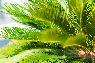 Villa Infinity View by Villas Guide